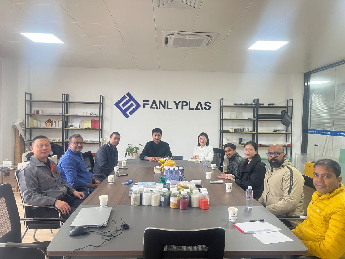 fanlyplas team 2024121231